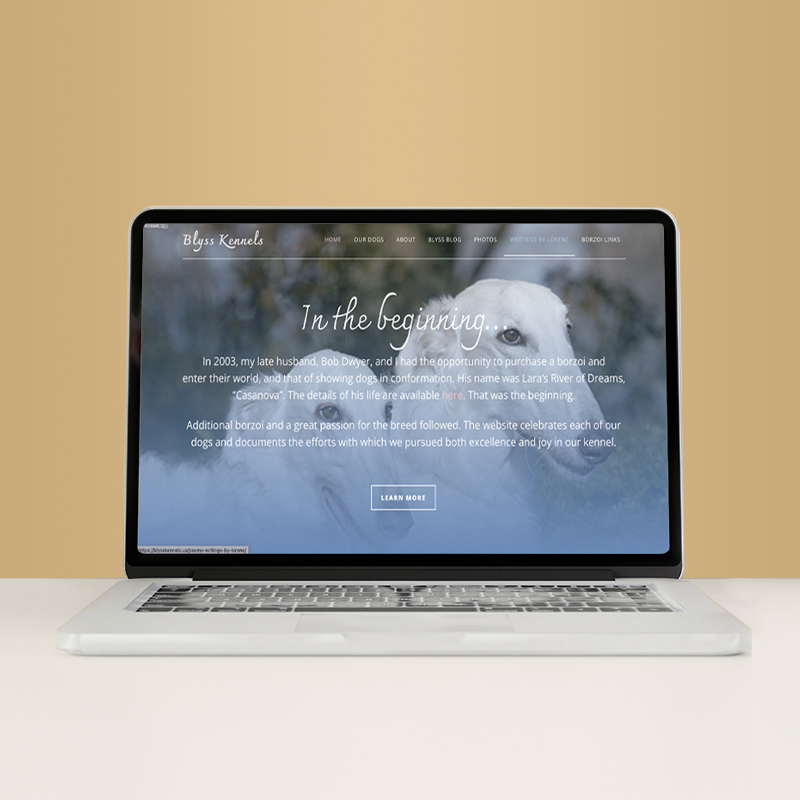 Laptop computer on desk showing a website design for a dog kennel